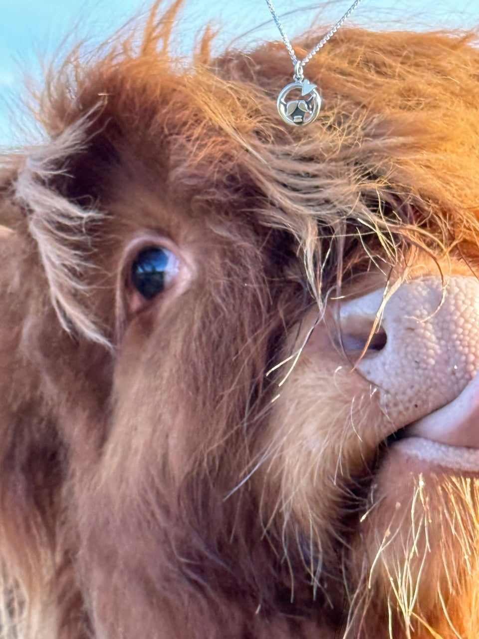 Highland Cow Jewellery