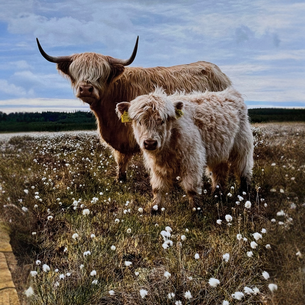 Tarra and Eve in the Bog Cotton Canvas