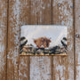 Sheila Beag Cosmetic Bag