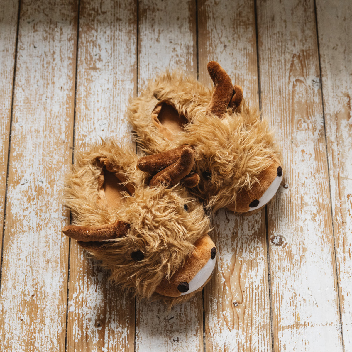 Highland Coo Adult Slippers
