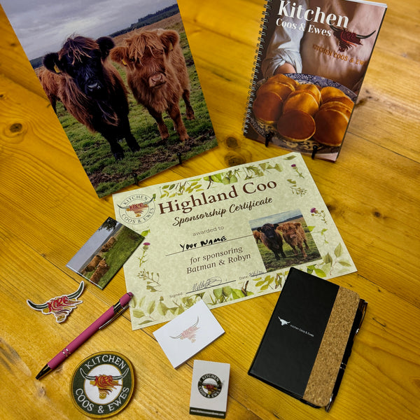 Sponsor Batman & Robin