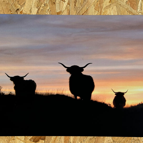 Sunset Highlanders Print (Unframed)