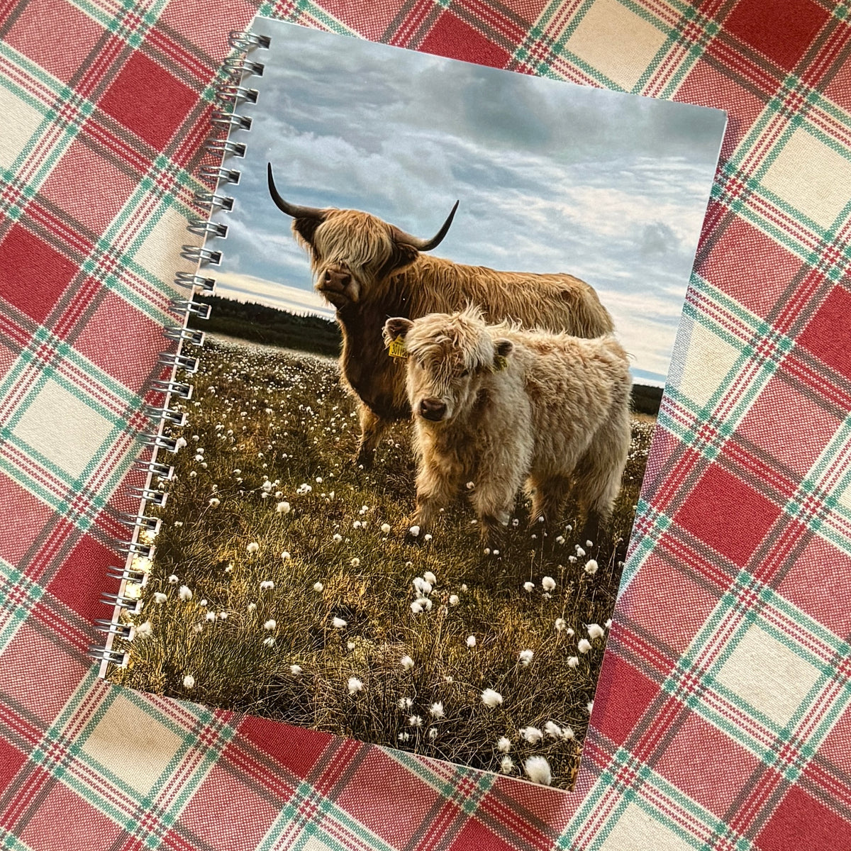 Highland Cow A5 Lined Notebook