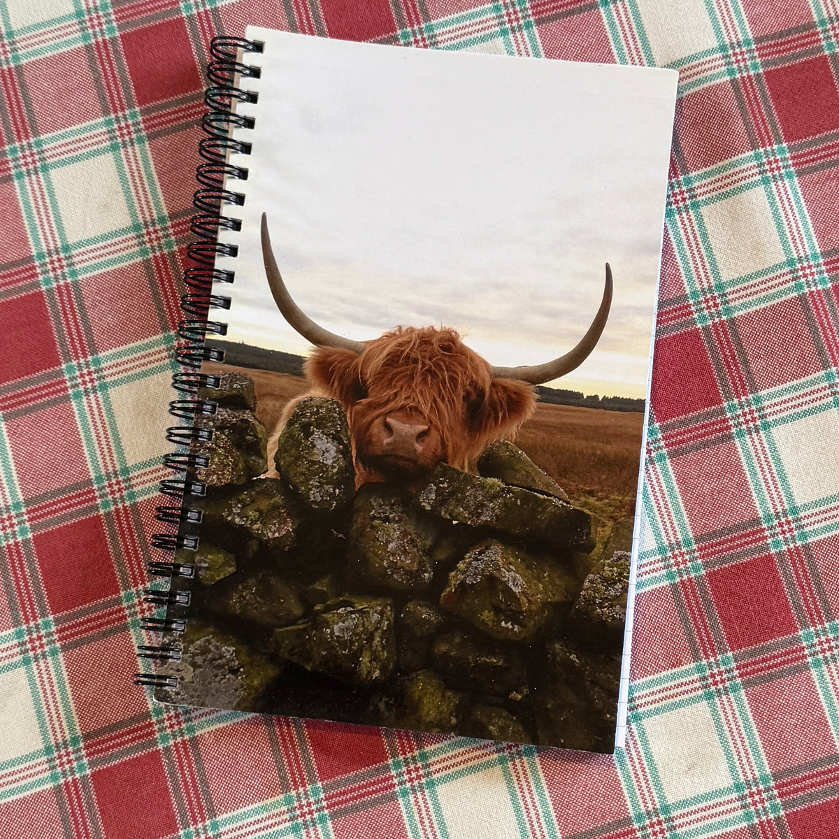Highland Cow A5 Lined Notebook