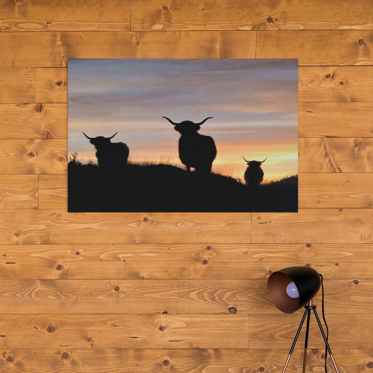 Sunset Highlanders Canvas